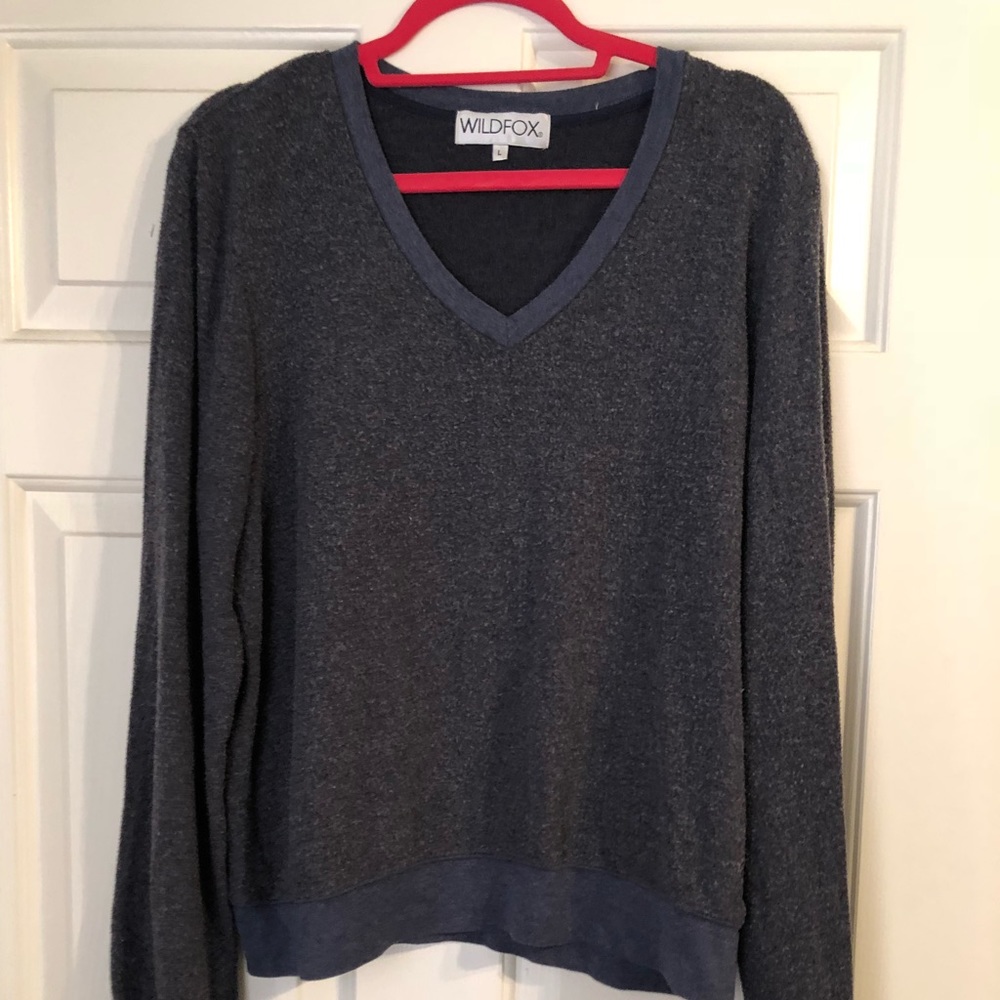 Blue Wildfox Sweatshirt